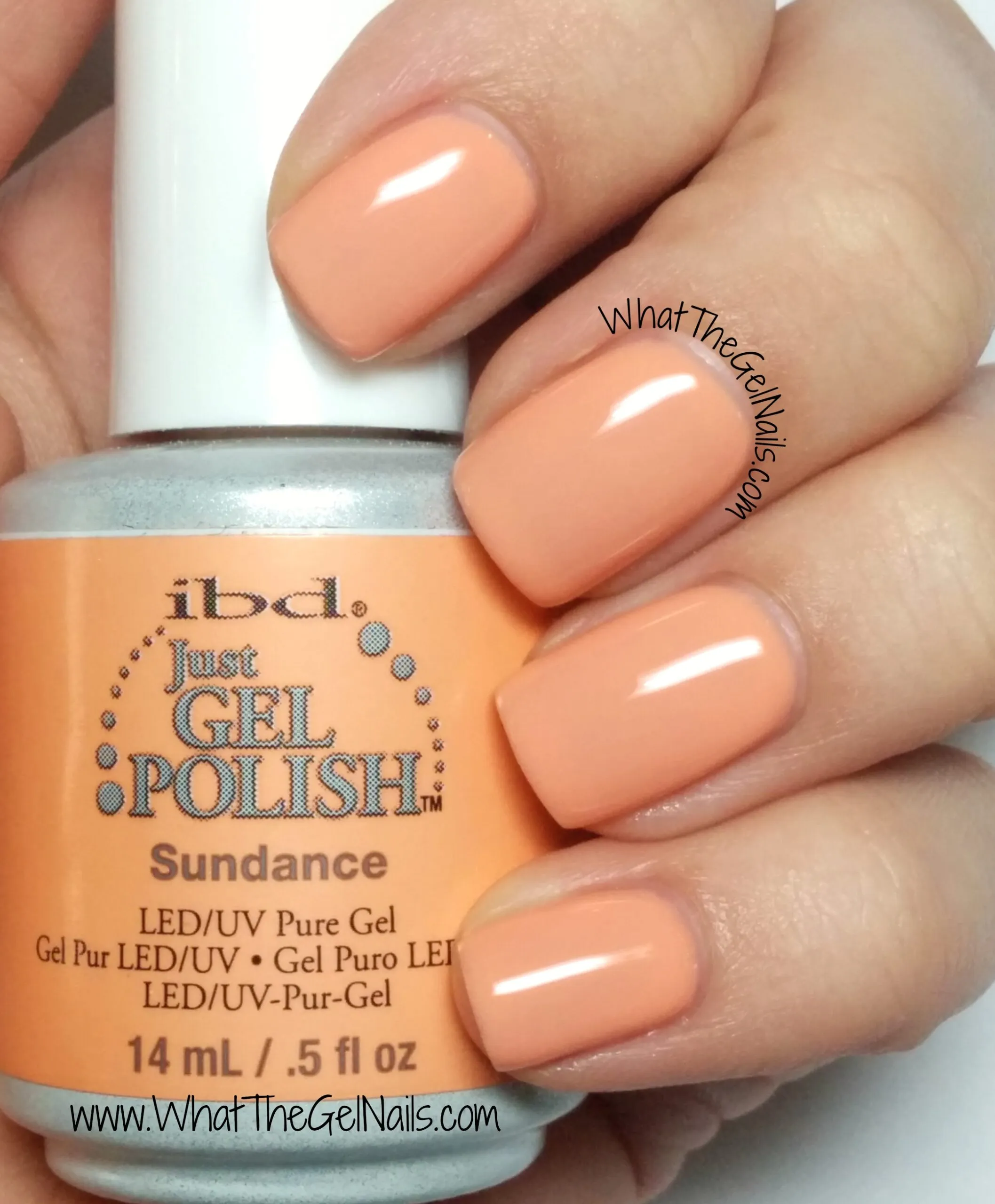 Sundance-1-scaled.jpg