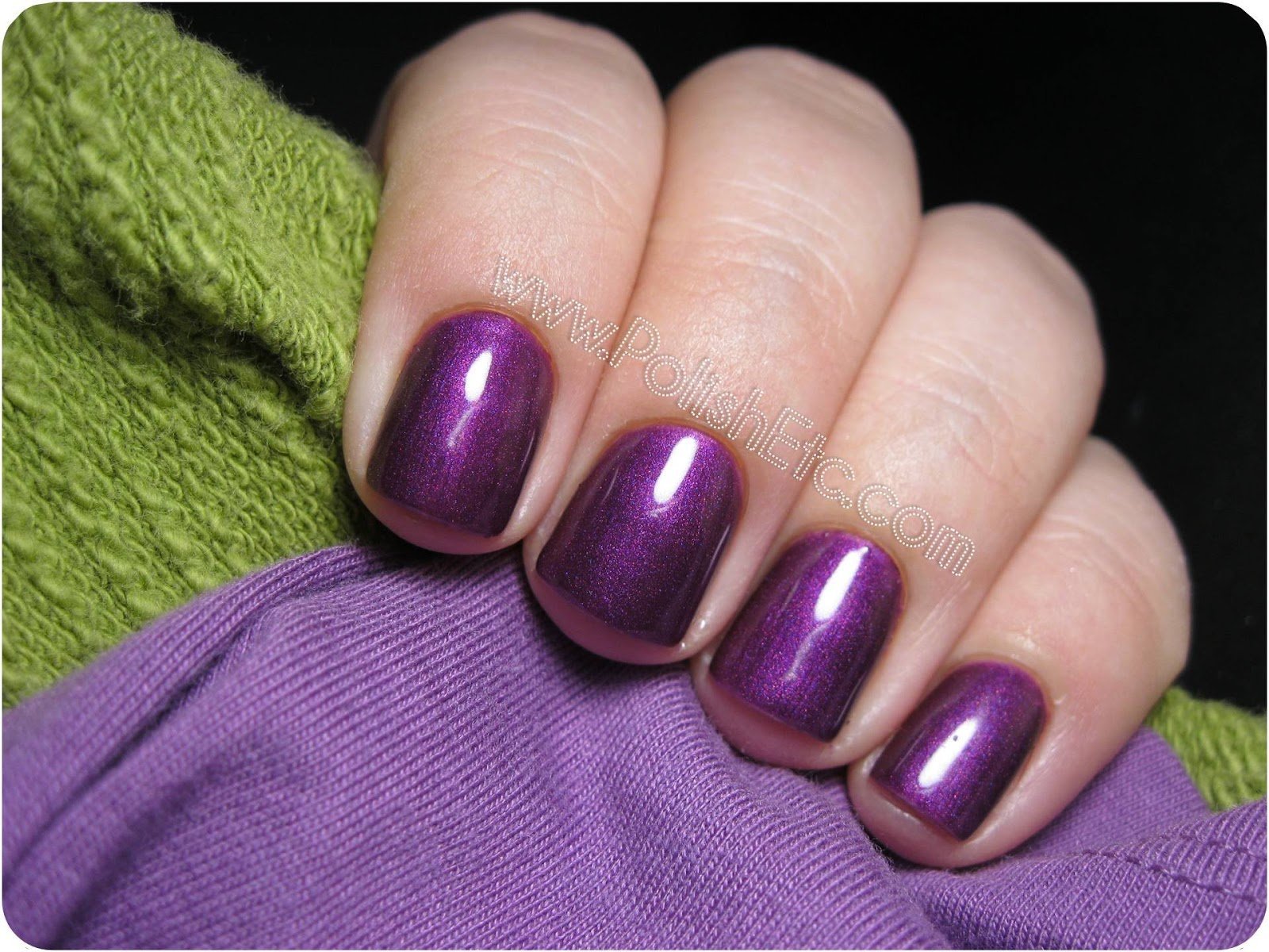 Suzi-and-the-7-Dusseldorfs-Gelcolor